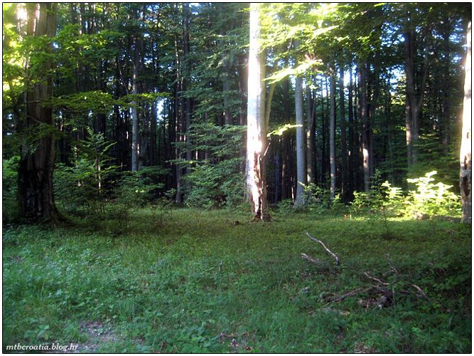 Psunj (Cernik Brezovo Polje) MTB Croatia Blog.hr
